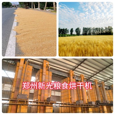 �¹�Zʳ��əC