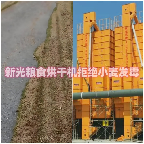 新光糧食烘干機 新光糧食烘干機