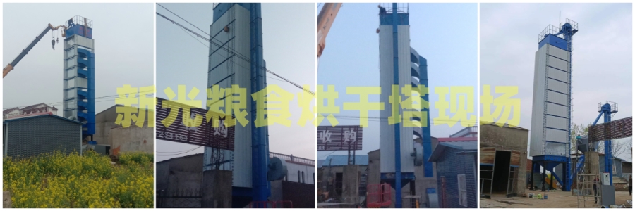 �¹�Zʳ�����