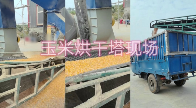 �Zʳ������F(xi��n)��